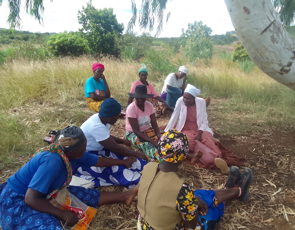 Lifeblood: 50 members of the Matezva irrigation scheme rely on the dam for everything, from food to income. Photo: Tatenda Chitagu