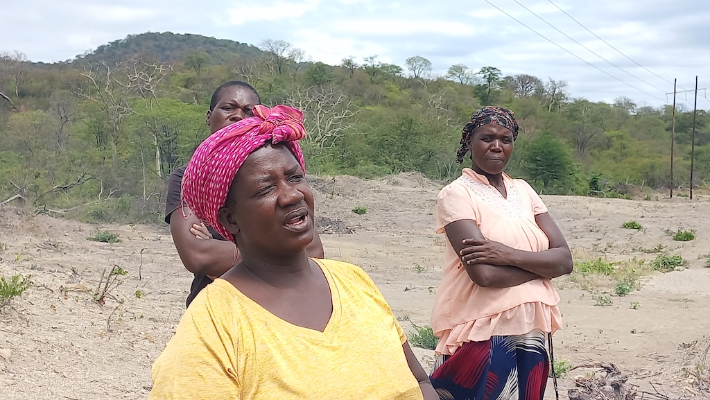 Loveness Ncube leads a group of charcoal makers, and admits that their livelihoods take preference over environmental issues. Photo: Nqobile Tshil